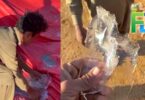 Severe cold wave in Karachi with ice forming in water during single-digit temperatures