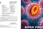 Nipah Virus health alert issued in Sindh Pakistan