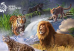The decline of wildlife could negatively affect many aspects of human life.
