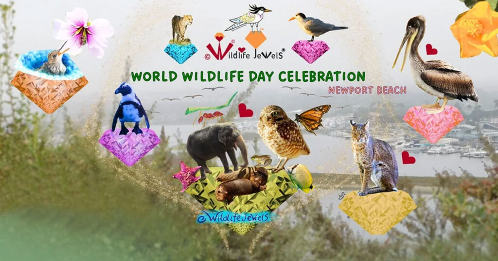 Celebrating just one day is not enough; practical measures are essential for the **protection and conservation of wildlife**.