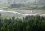 Climate Change Impact: Wetlands Dry Up in Bajaur, Decline in Migratory Birds