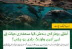 Strait of Hormuz marine life dolphins coral reefs oil spill environmental risk shipping congestion crisis