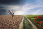 Global Alliance Against Climate Crisis