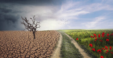 Global Alliance Against Climate Crisis