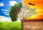 Climate Change: Exposing Performative Environmentalism