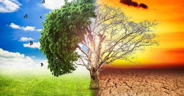 Climate Change: Exposing Performative Environmentalism