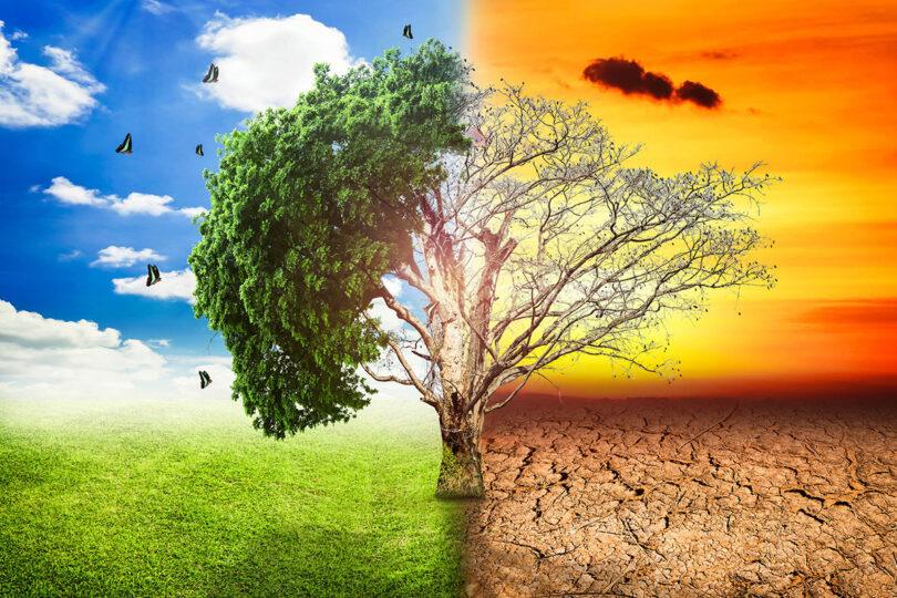 Climate Change: Exposing Performative Environmentalism