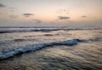 World Ocean Day 2026: Protecting Oceans, Protecting Humanity