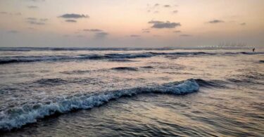 World Ocean Day 2026: Protecting Oceans, Protecting Humanity