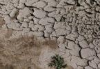 Climate Change: Why ‘Climate Hushing’ Has Become a Dangerous Strategy