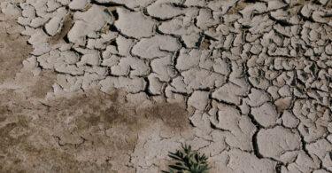 Climate Change: Why ‘Climate Hushing’ Has Become a Dangerous Strategy