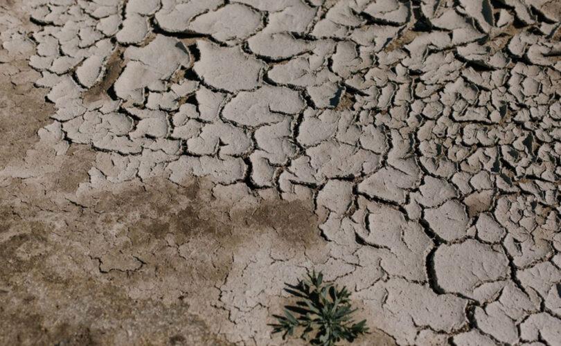 Climate Change: Why ‘Climate Hushing’ Has Become a Dangerous Strategy