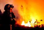 Extreme Heat Fury: Climate Change and Greed Exposed