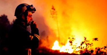 Extreme Heat Fury: Climate Change and Greed Exposed