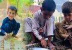 Shen Bajaur Campaign Launched to Mitigate the Adverse Effects of Climate Change