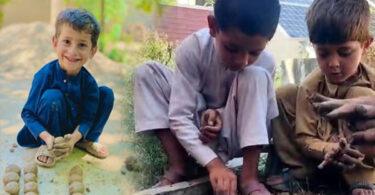 Shen Bajaur Campaign Launched to Mitigate the Adverse Effects of Climate Change