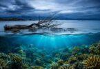 Silent Crisis: Oceans Heading Toward a Silent Death