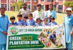 Trees Are the Solution to Climate Change, Zulfiqar Magsi