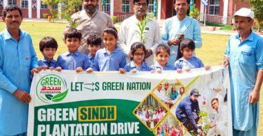 Trees Are the Solution to Climate Change, Zulfiqar Magsi
