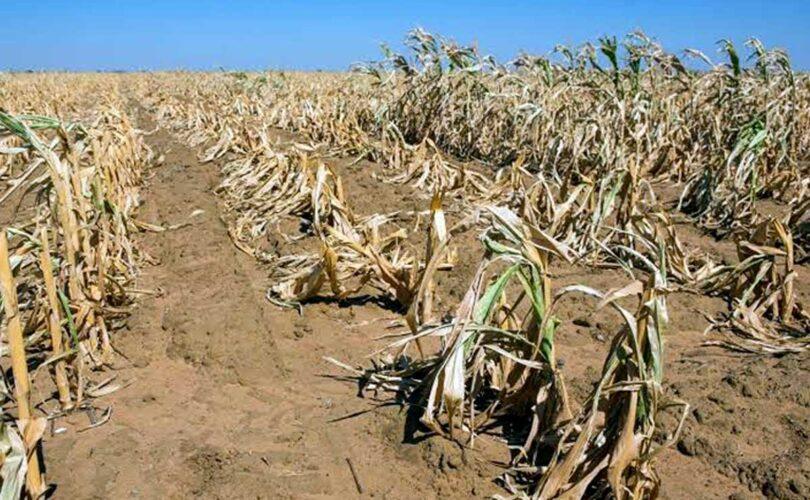 UK Urged to Prepare for Potential El Niño Impacts