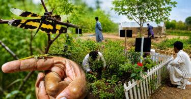 Jhimpir Nature Conservation Campaign: From Hunters to Guardians of Nature