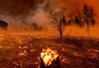What Do Wildfires Mean for Climate Change?
