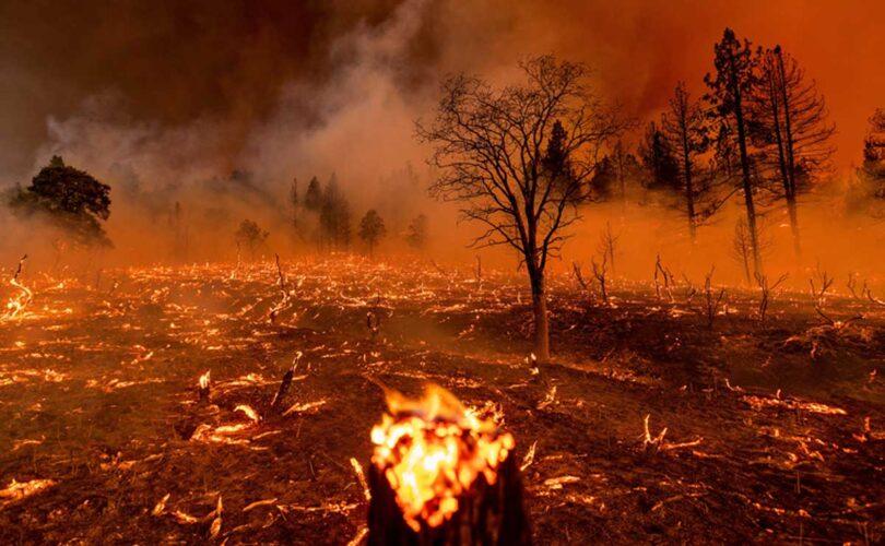What Do Wildfires Mean for Climate Change?