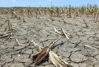 Climate Change-Driven Food Losses Raise Conflict Risks