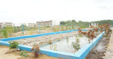 جامعہ کراچی میں زیرو لیکوئڈ ڈسچارج منصوبے کے مقام پر پانی سے بھرا ہوا مستطیل حوض، اردگرد پودے اور باڑ نظر آ رہی ہے۔