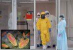 Plague Risk in Russia, 5 Medical Centers Quarantined, Researcher Dies