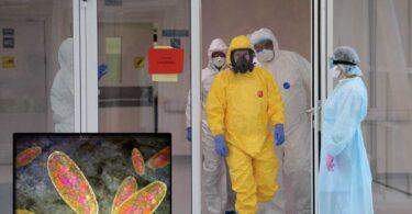 Plague Risk in Russia, 5 Medical Centers Quarantined, Researcher Dies