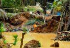 Gold Rush from Ghana to the Amazon, Forests at Risk