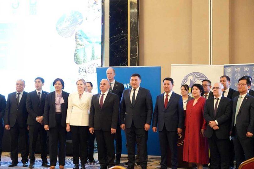 COP31 and COP17: Major Progress for Kyrgyzstan