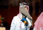 Mongolian Falcon Auction, Two Falcons Sold for 350,000 Riyals