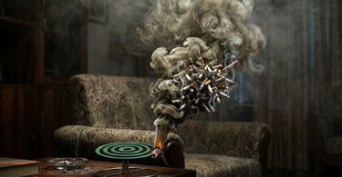 Dangerous Mosquito Coil Smoke, Equivalent to 100 Cigarettes?
