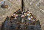 240-Million-Year-Old Sea Giant, Shocking Discovery in China